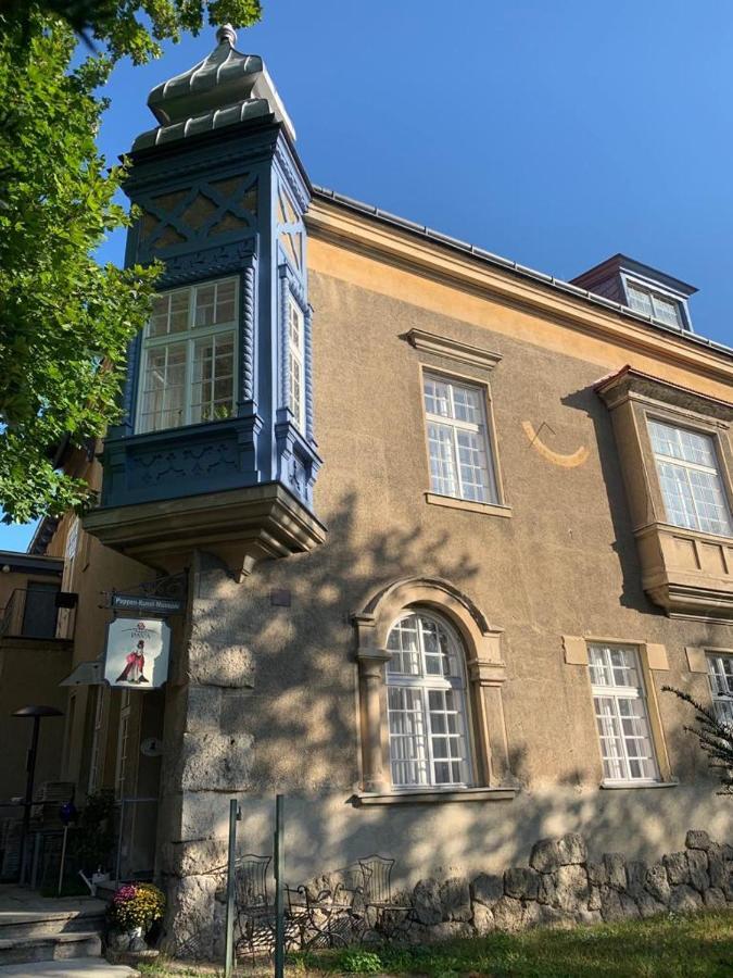 Villa Pazelt Top2 Bad Voeslau Buitenkant foto